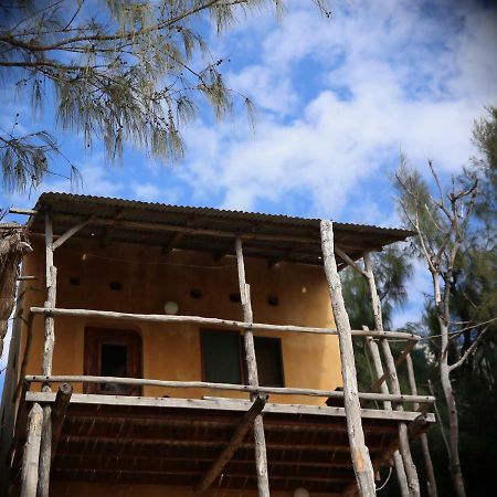 Tree House Cottage, Ocean View Praia do Praia do Tofo Buitenkant foto
