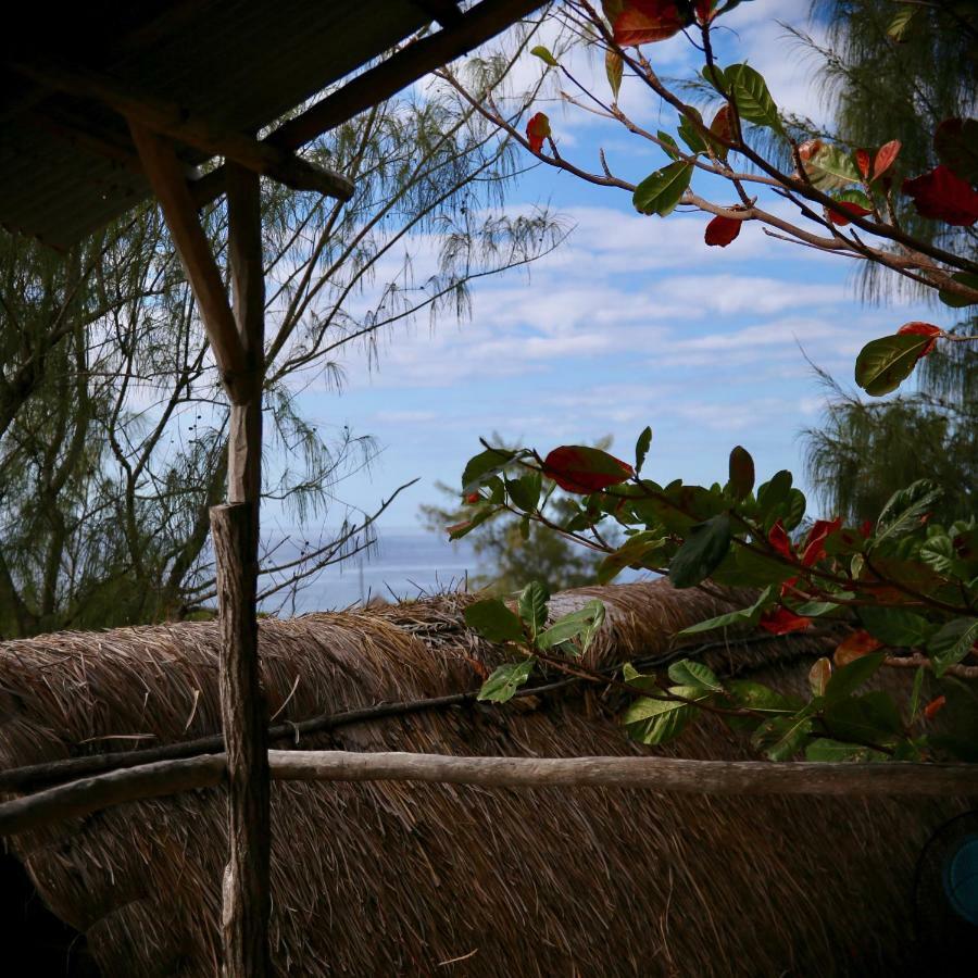 Tree House Cottage, Ocean View Praia do Praia do Tofo Buitenkant foto